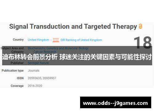 迪布林转会前景分析 球迷关注的关键因素与可能性探讨