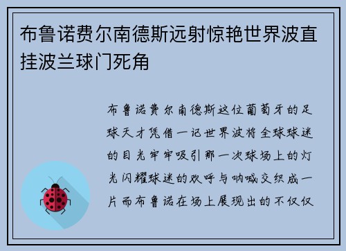 布鲁诺费尔南德斯远射惊艳世界波直挂波兰球门死角
